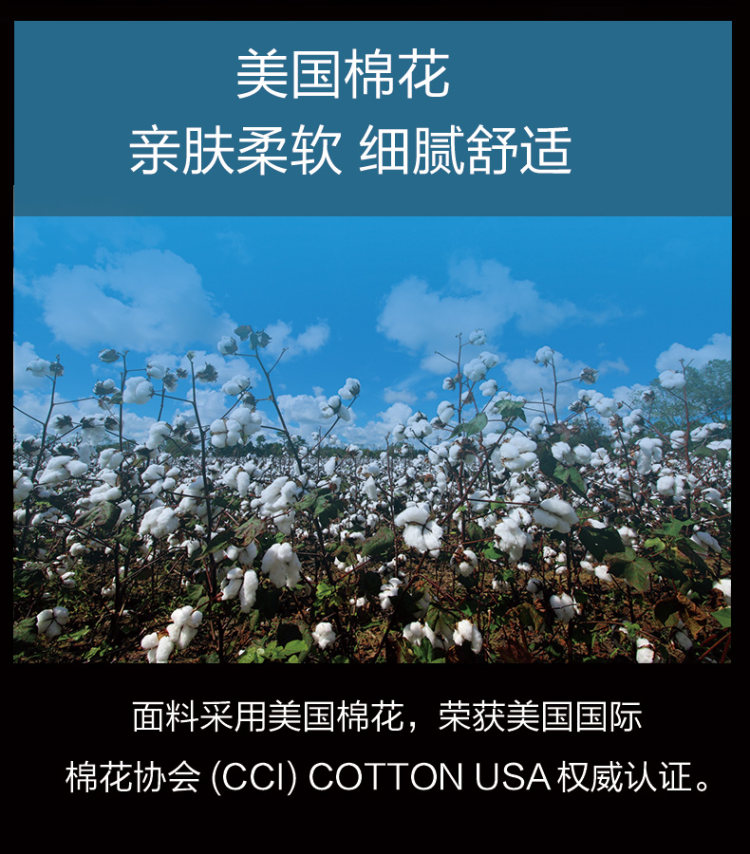 小米生态链 Prada代工厂 棉花共和国 男美棉微窗导湿内裤 3条 图4