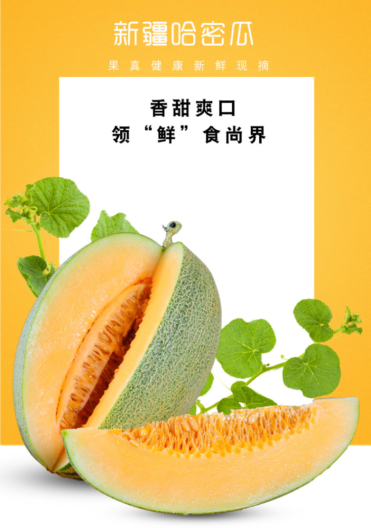 新疆吐鲁番原产 西州哈蜜瓜含箱10斤 图1