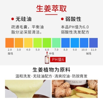ZOOLY 卓蓝雅 无硅油生姜洗发水 400ml *4件 图4