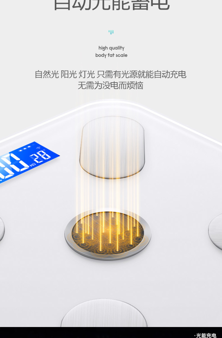 本博 高端家用智能app电子秤 图3