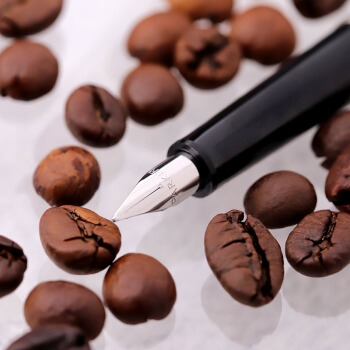 PARKER 派克 Jotter乔特系列 钢杆白夹钢笔 图4
