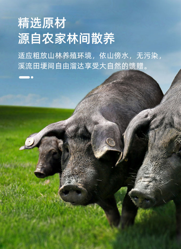 台湾火山石热狗烤肠500g 图3
