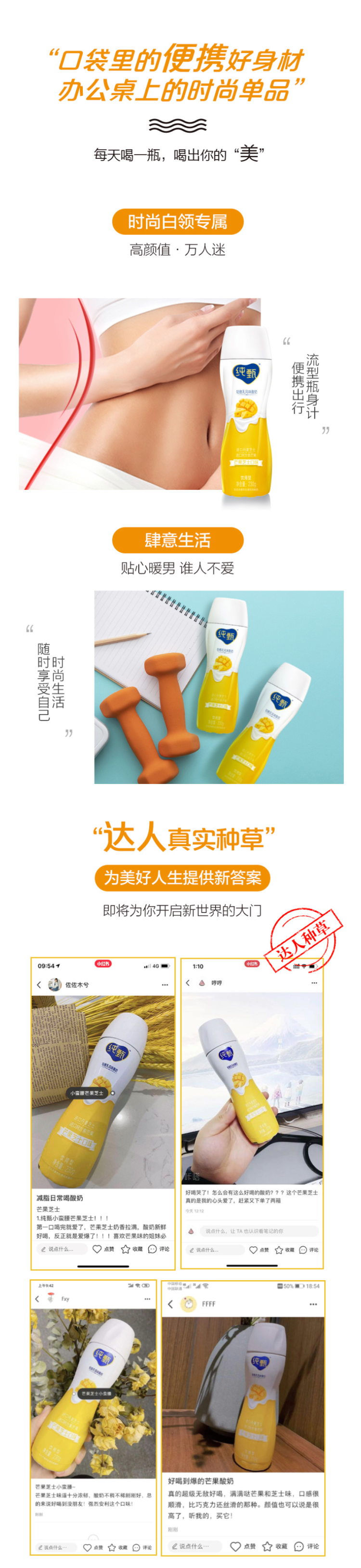 蒙牛 纯甄 轻酪乳芒果芝士味酸奶 230g*10瓶 小蛮腰瓶装 图2