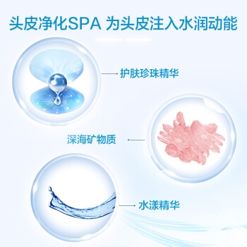 Head & Shoulders 海飞丝 丝源复活组合 头皮净化洗发露 530ml *2件 图3