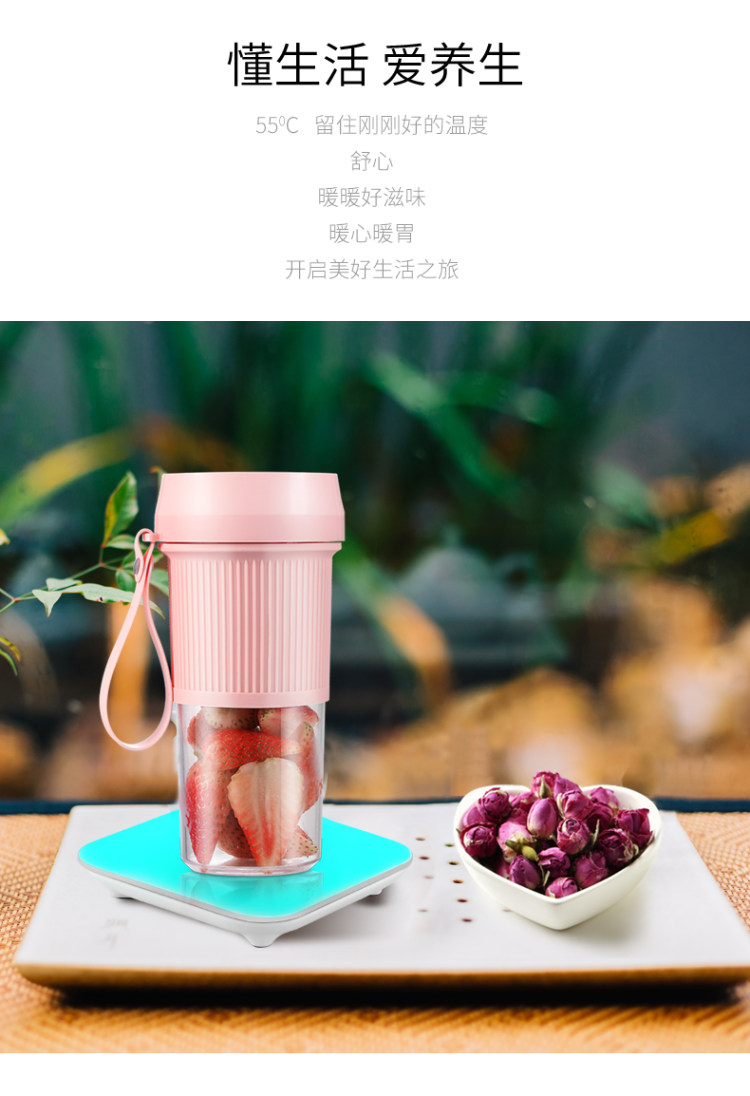 荣事达 可加热榨汁机玻璃款 图2