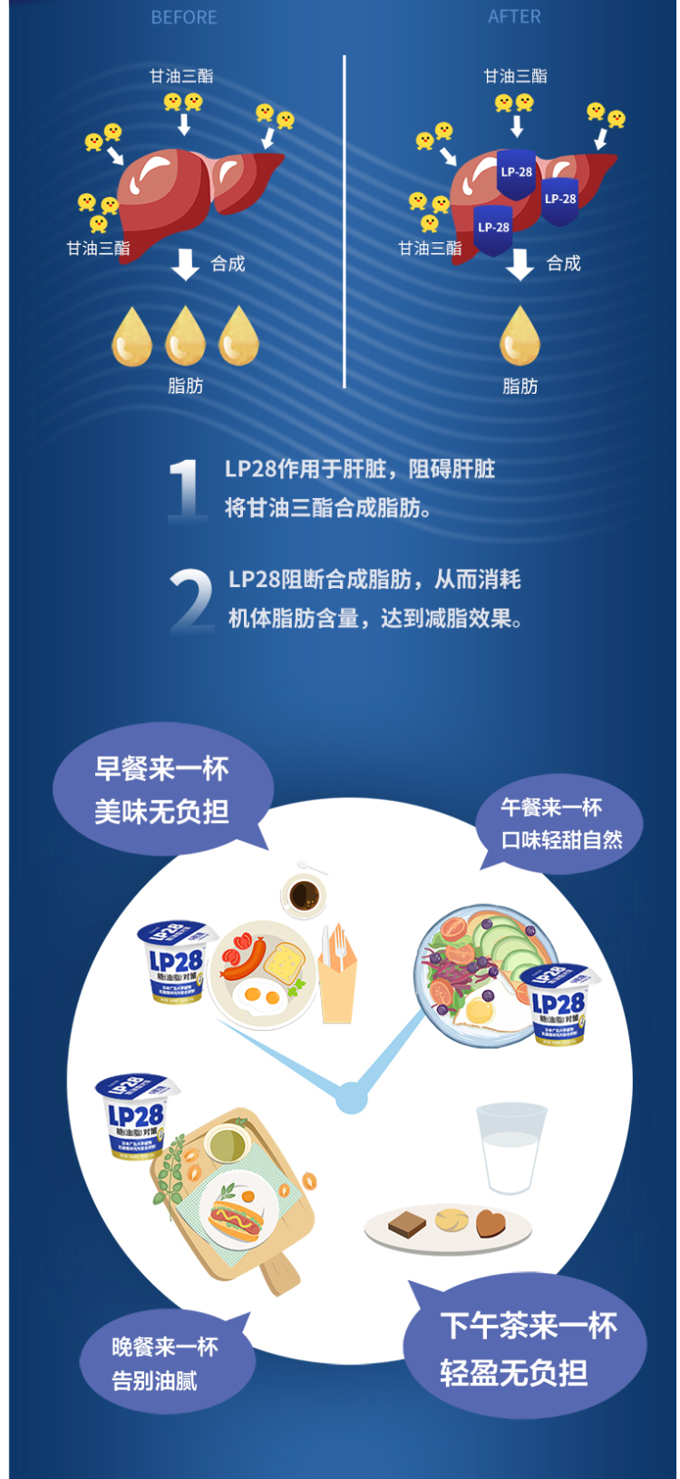 日本广岛大学研制 北海牧场 专利LP-28乳酸菌减肥酸奶 100g*12杯 图3