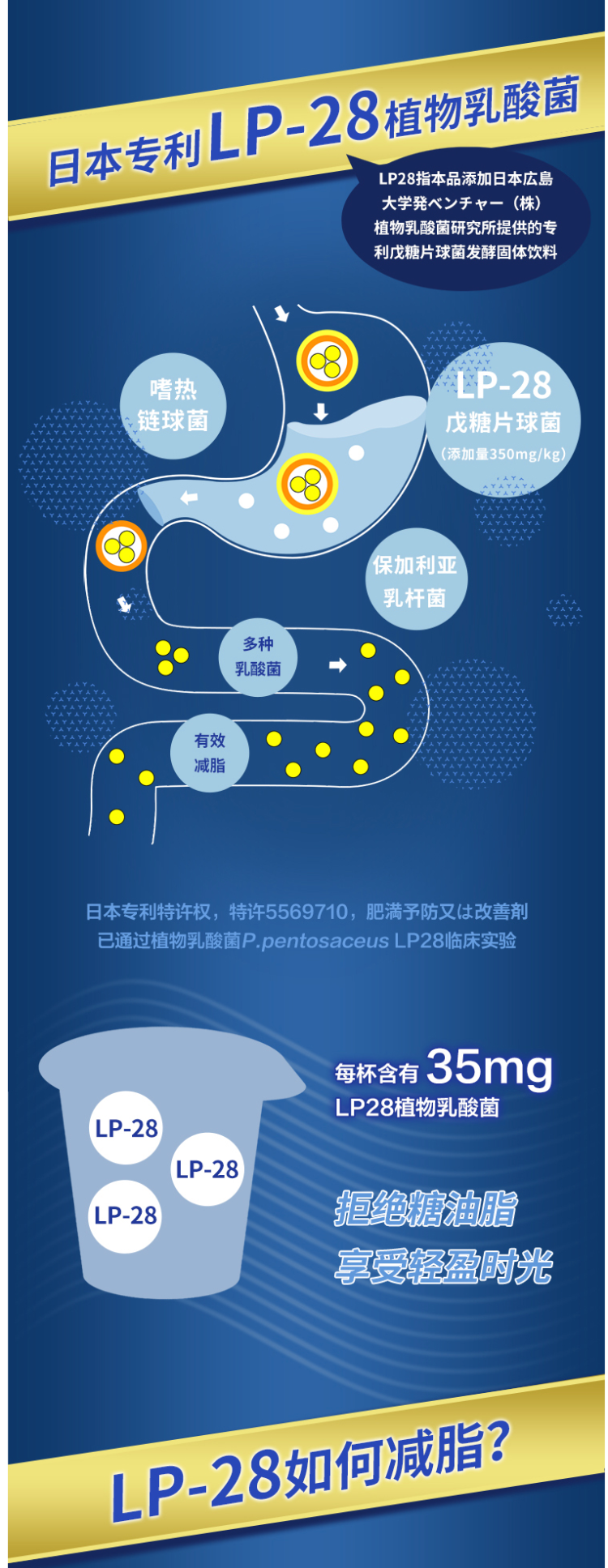 日本广岛大学研制 北海牧场 专利LP-28乳酸菌减肥酸奶 100g*12杯 图2
