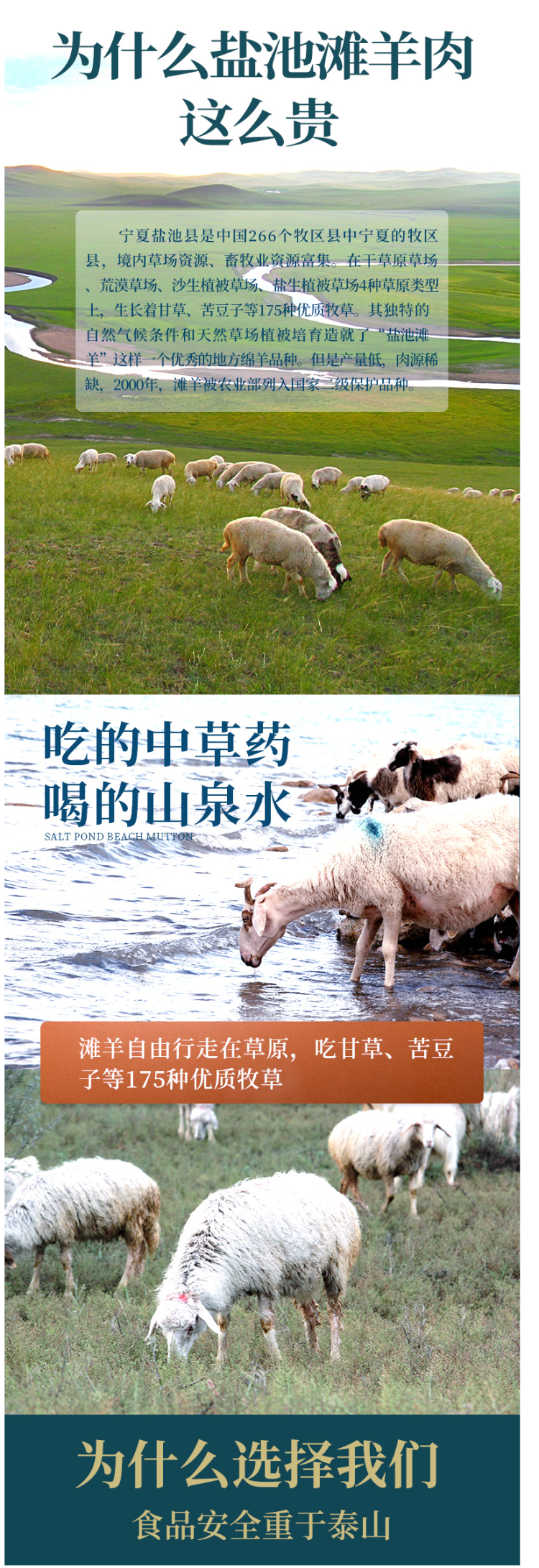 中国地理标志产品 6-8月盐池滩羊 羊后腿 4斤整 图3