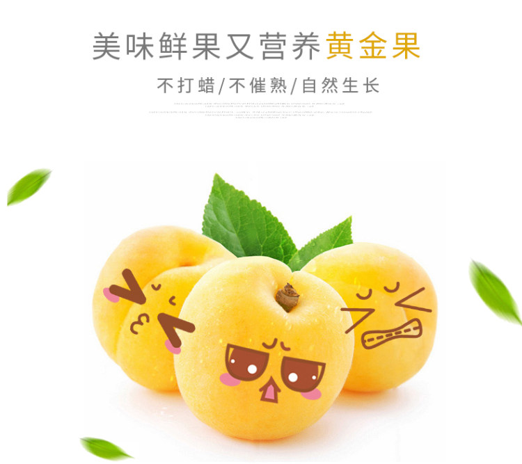 信钻 黄砀山脆甜黄桃罐头 256g*6瓶 图5