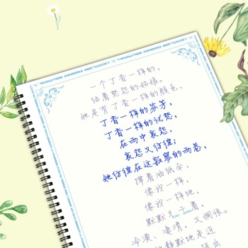 南国书香 NG842 成人硬笔练字帖 图3