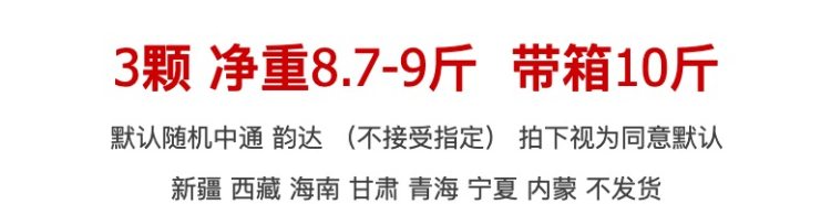 伊千寻 当季甘肃民勤黄金蜜瓜 3颗净重8.7-9斤 图1