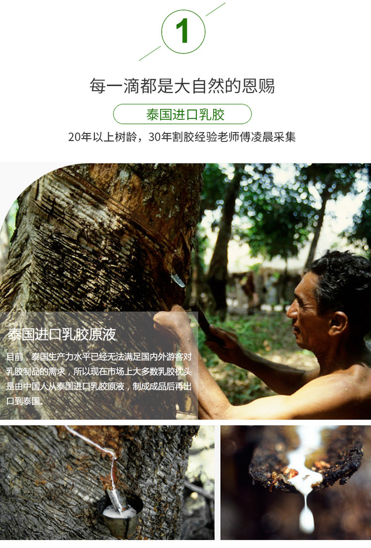 零时差 泰国天然乳胶枕头护颈椎枕 全网最低 图5