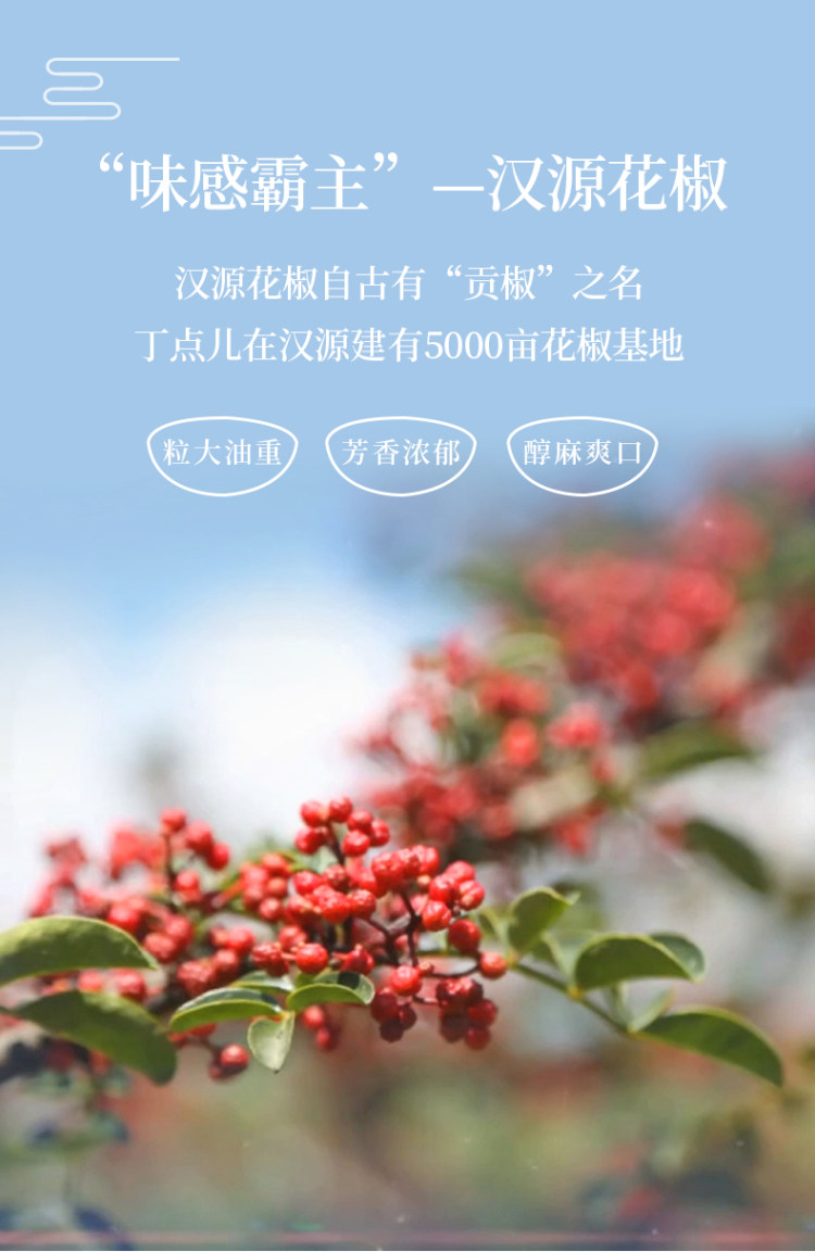 丁点儿 香辣笋丁香菇牛肉酱下饭酱 一瓶 图4