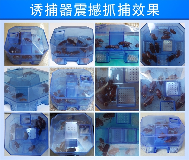 欧克乐 蟑螂捕捉器蟑螂屋 无毒灭蟑螂 图2