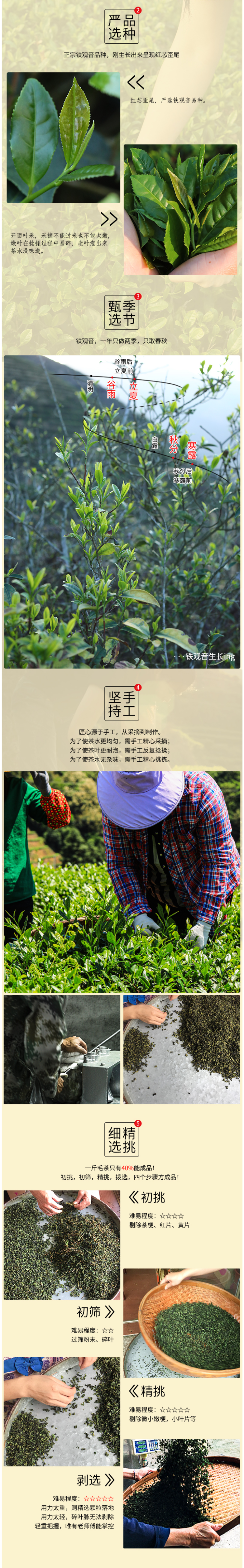 感德槐川 20新茶 特级兰花香型安溪铁观音 250g 图2