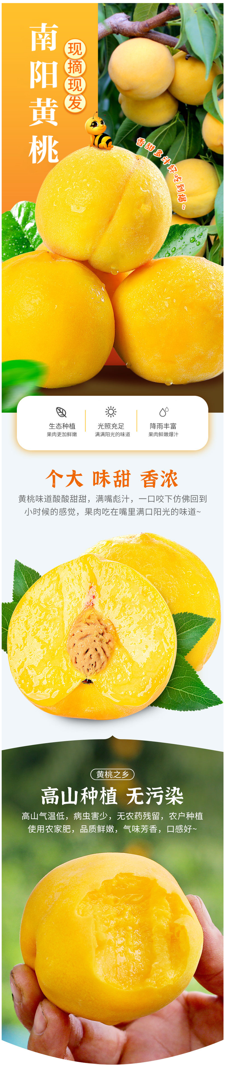 小宁子 当季新鲜甜黄桃 5斤 图1