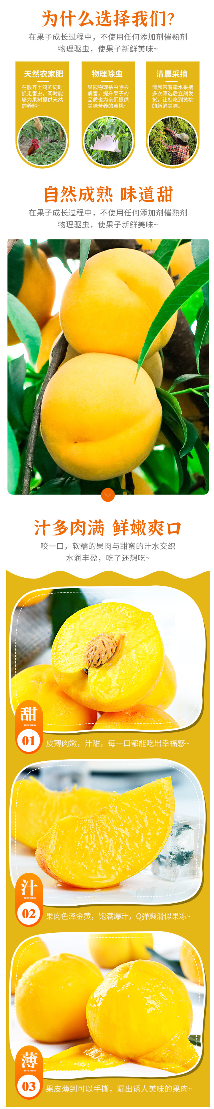 小宁子 当季新鲜甜黄桃 5斤 图2