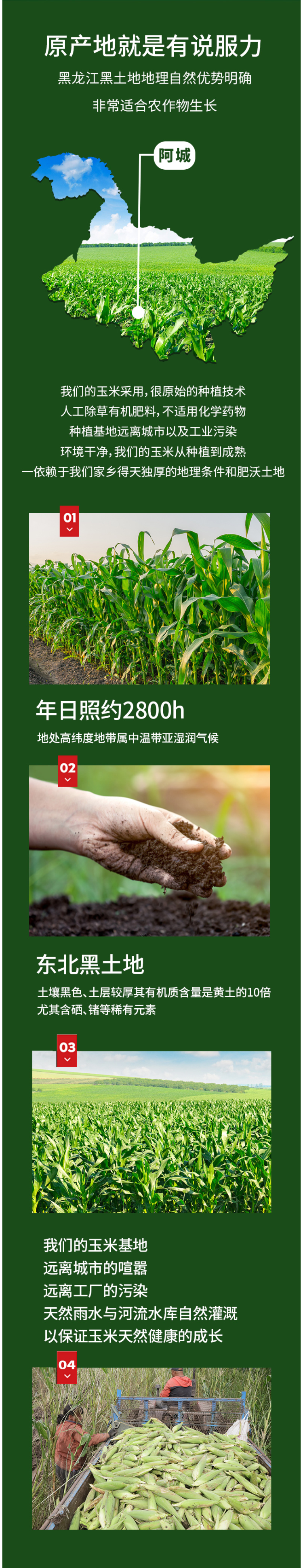 央视网商城优选品牌 李豫龙 有机五彩糯玉米 220g*10支 真空包装 图7