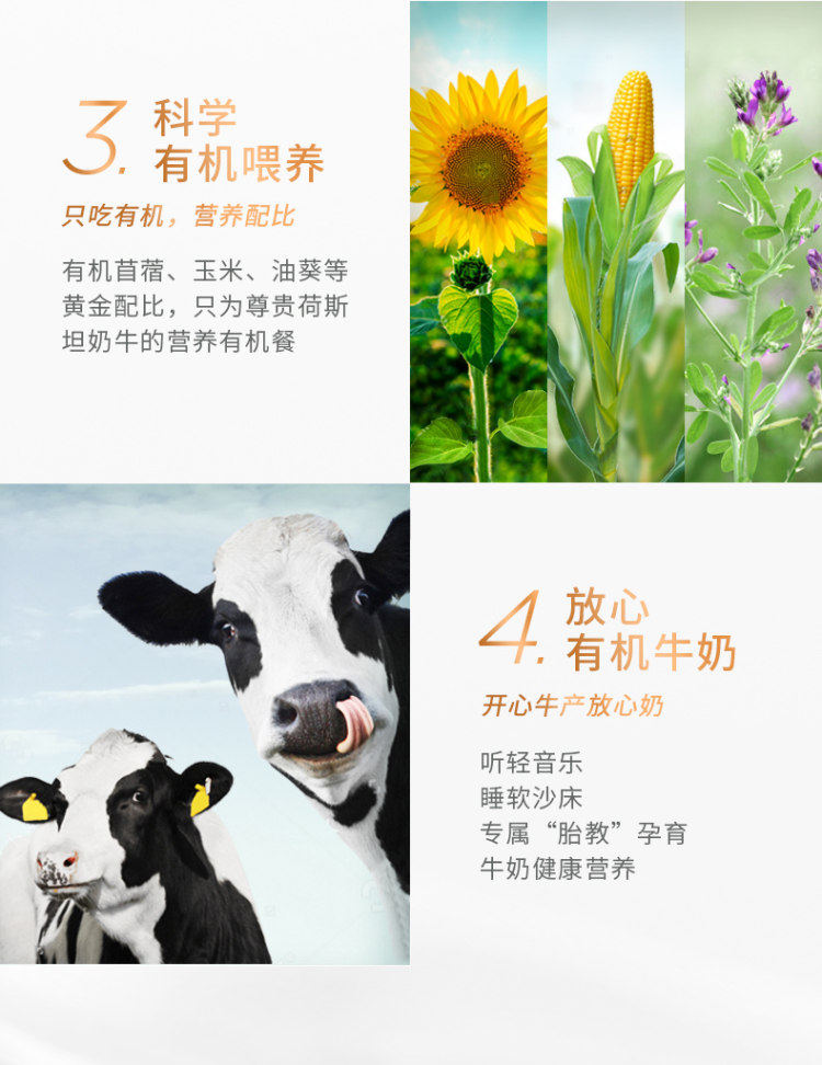 圣牧 品醇 有机纯牛奶 200ml*12盒*2箱 中国欧盟双有机认证 图6