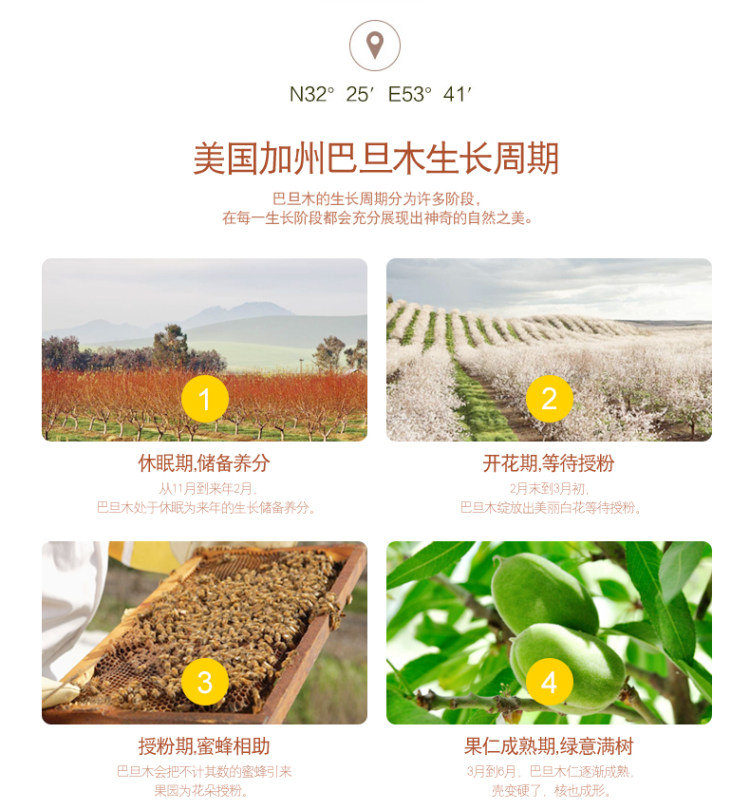 60年坚果老牌 天虹牌 美国加州原产 巴旦木仁 500g 图5