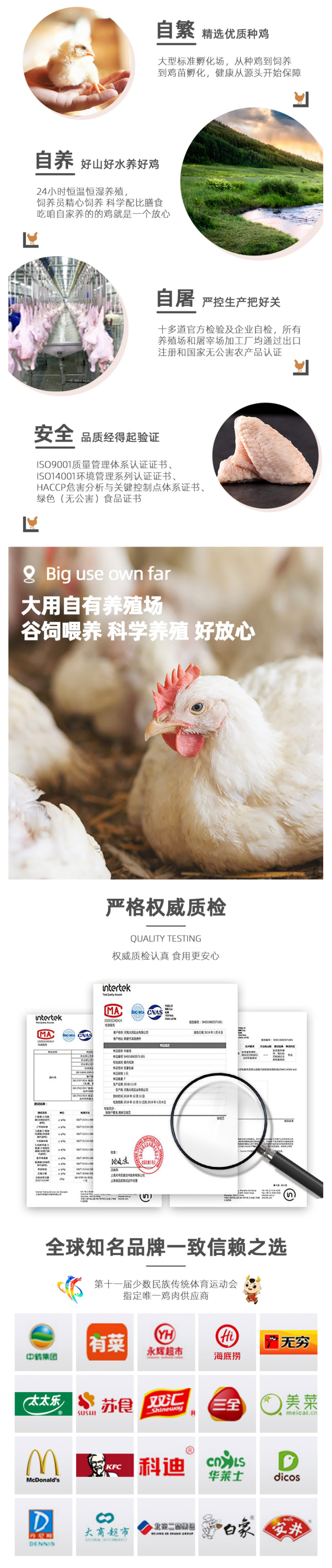 国家重点企业 大用好味道 冷冻鸡翅中 500g*3包 图4