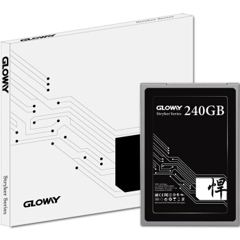 GLOWAY 光威 悍将 SATA3 固态硬盘 240GB 图5