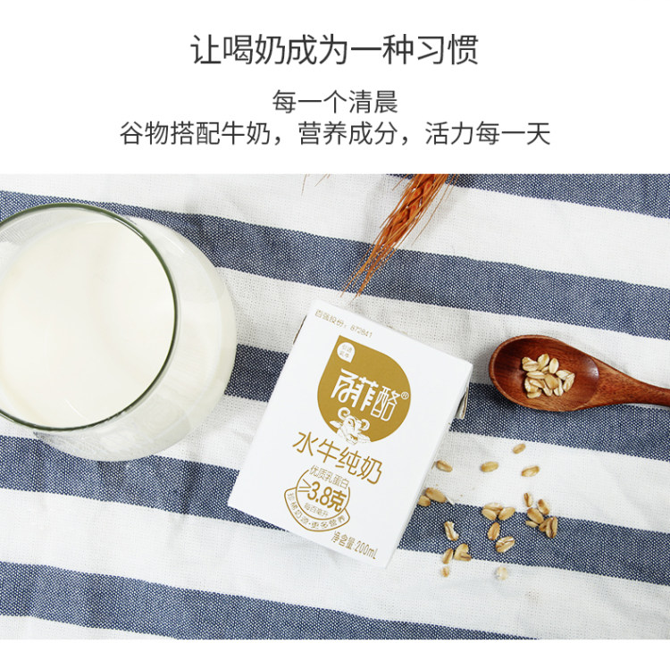 奶中珍品 百菲酪 水牛纯奶 200ml*20盒 图3