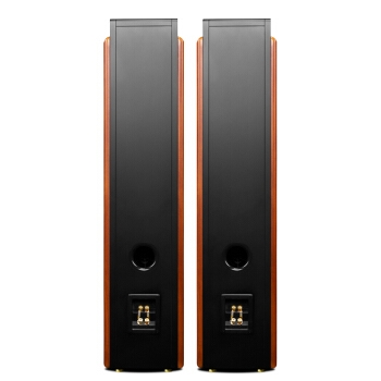 京东PLUS会员： HiVi 惠威 D3.2MKIII 前置音响 家庭影院主音箱 图4
