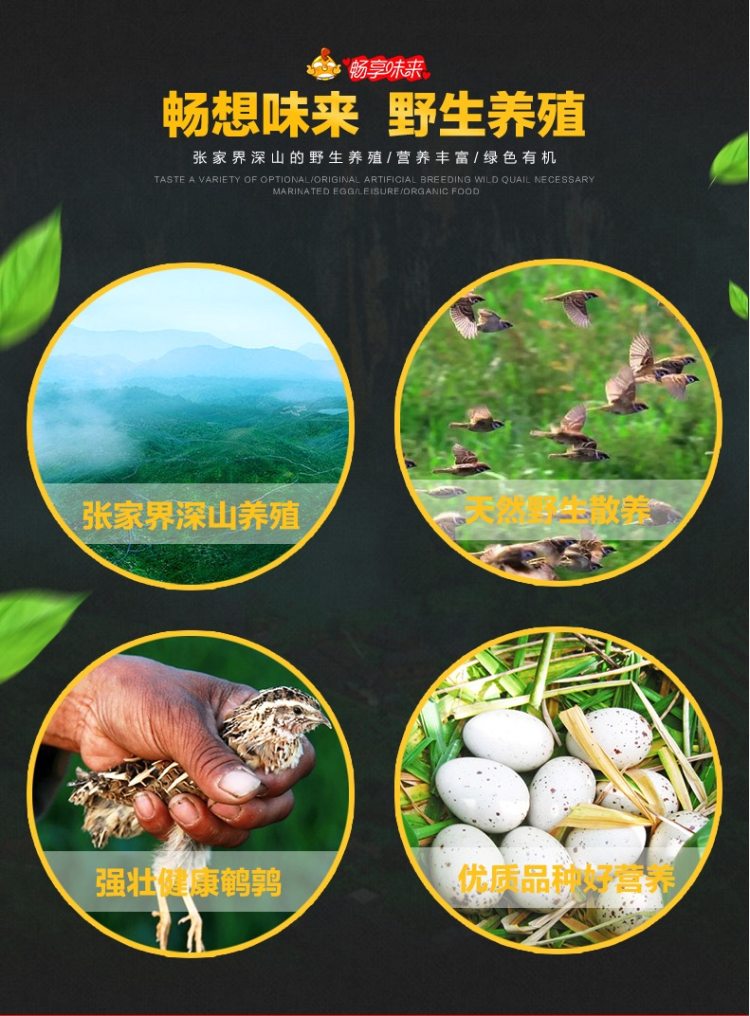 畅享味来 盐焗鹌鹑蛋 卤蛋 30枚*2件 图9