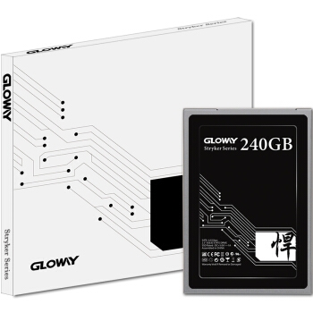 百亿补贴： GLOWAY 光威 悍将 SATA3 固态硬盘 240GB 图5