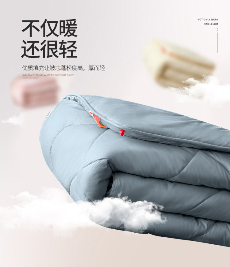 北极绒 全尺寸春秋被棉被 全尺寸一个价 3-5斤 图4