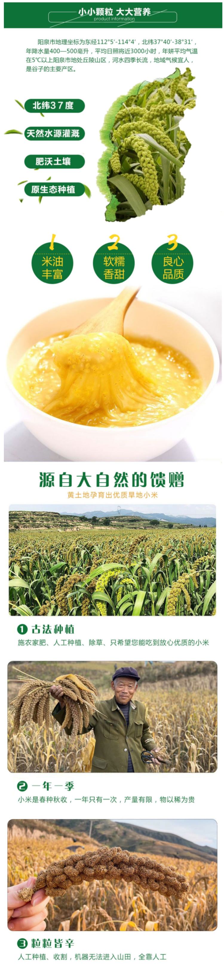 山西特产 桃河谷 绿色食品认证黄小米 400g/袋  熬出的米油称代参汤 图2