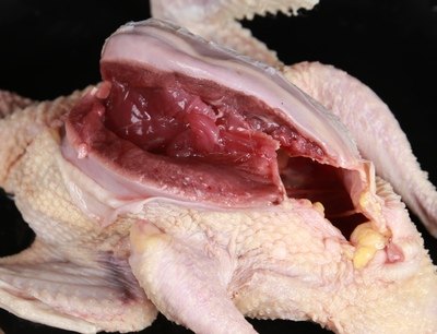 若野 活体现杀冷冻鸽子肉 3只净重不低于2斤 图4