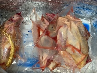 若野 活体现杀冷冻鸽子肉 3只净重不低于2斤 图3