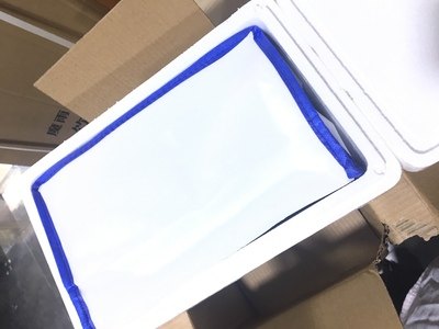 若野 活体现杀冷冻鸽子肉 3只净重不低于2斤 图1