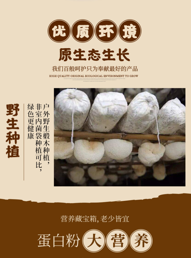 果味来 北大荒猴头菇益生菌蛋白粉 350g 图3
