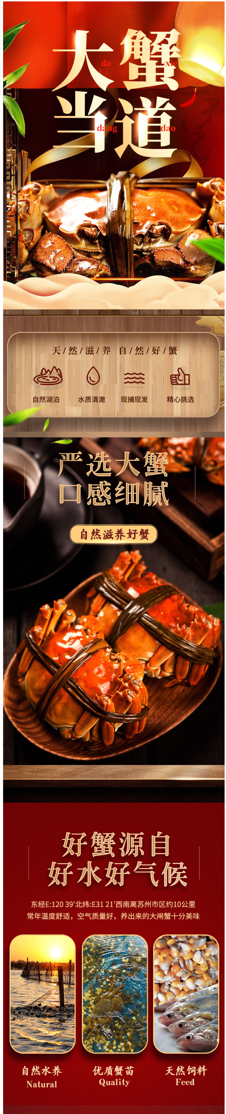 现货 鲜活六月黄螃蟹 全母蟹 共16只 每只1.5-1.8两 图1
