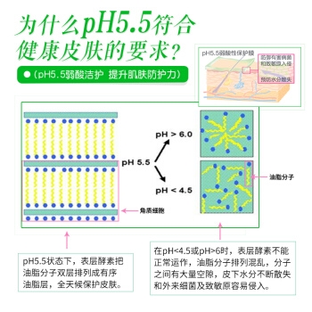 sebamed 施巴 清爽润肤乳200ml *4件 图4