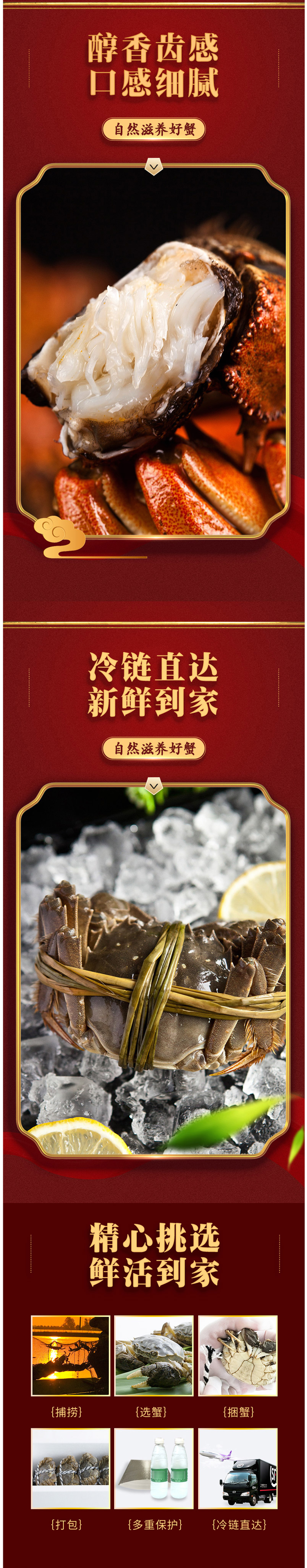 现货 鲜活六月黄螃蟹 全母蟹 共16只 每只1.5-1.8两 图3