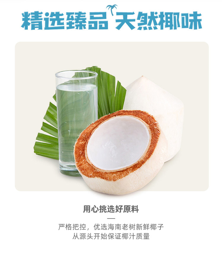 椰牛 海南新鲜生榨 果肉椰子汁 960ml*6罐 冰镇超好喝 图6