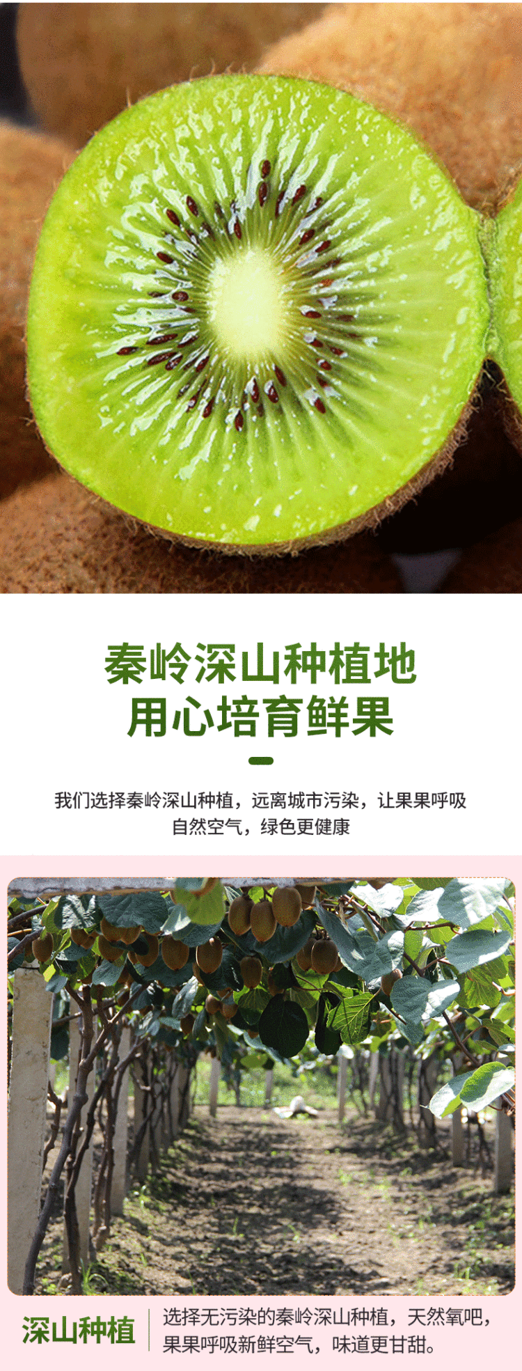 中秋礼盒装 秦岭原生态绿心猕猴桃 24枚 图3