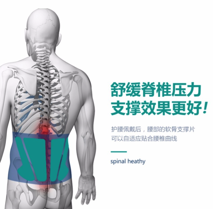 康舒 仿生软骨护腰带 国家专利技术 护腰不咯人 礼盒包装 图13