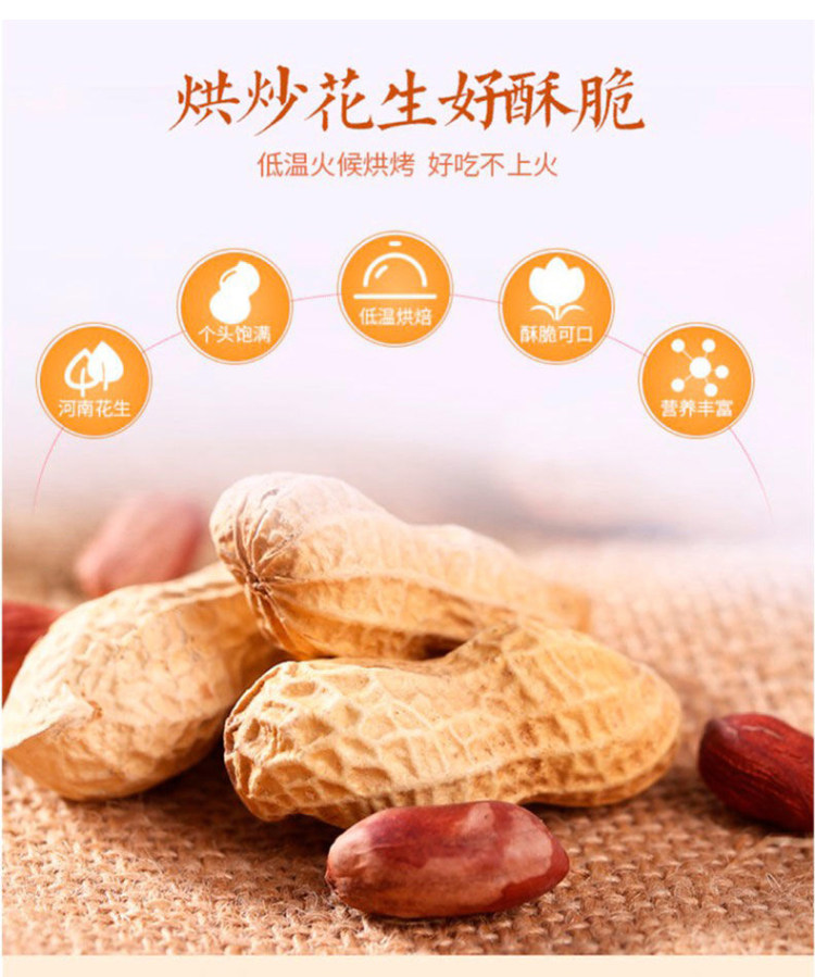 汤达人 龙岩地道花生 500g 图3