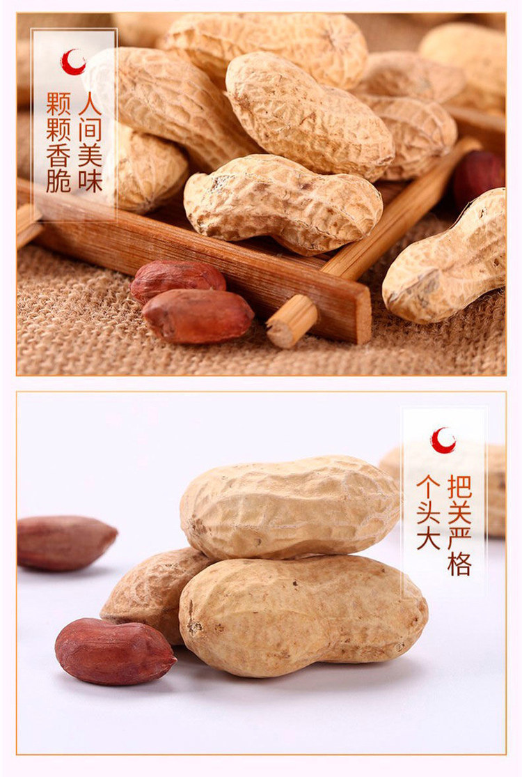 汤达人 龙岩地道花生 500g 图7