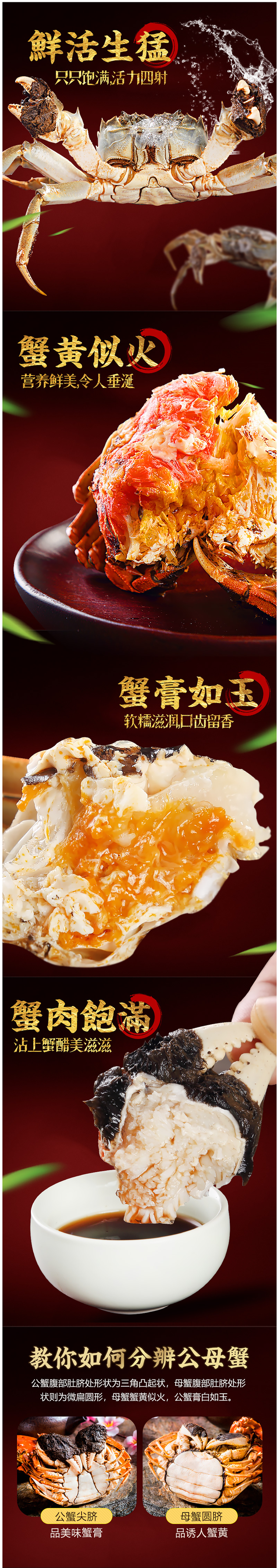 现货 副会长单位 阳澄湖大闸蟹 单只2.8两 全母蟹 共12只 图2