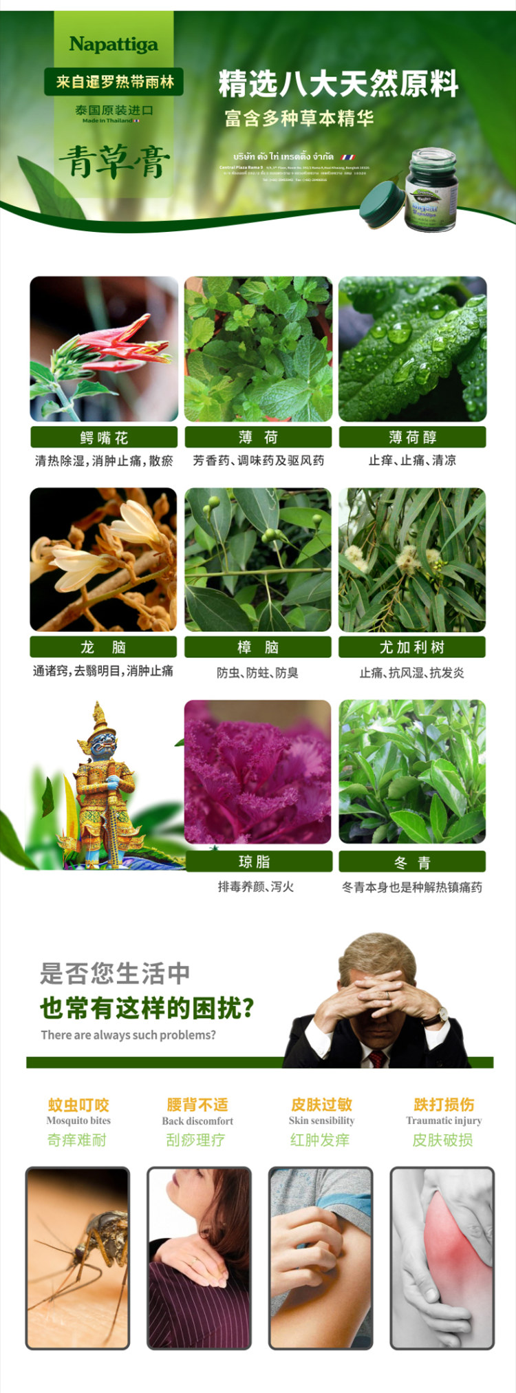 泰国万金油 Napattiga 青草膏15g*3瓶 防蚊/跌打损伤 图3