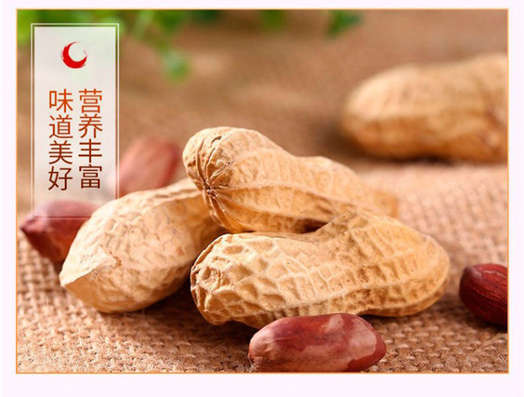 汤达人 龙岩地道花生 500g 图8