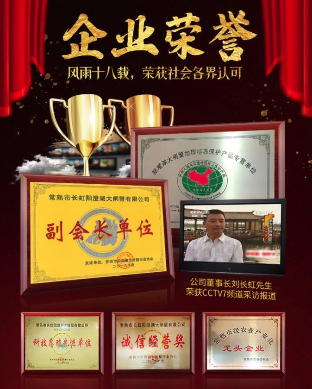 现货 副会长单位 阳澄湖大闸蟹 12只 图1