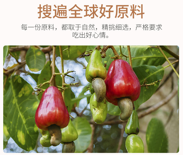 带皮大腰果 250g精美罐装 图4
