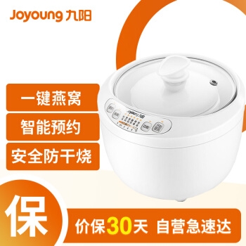 Joyoung 九阳 D-10G1 1L 电炖锅 图5